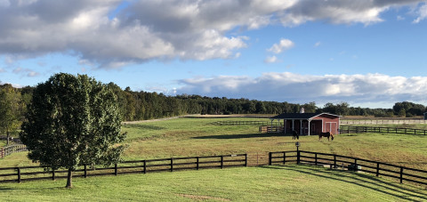 Visit Finally Farm Horse Boarding, LLC