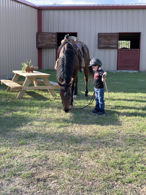 Visit Sepulveda-Wales Equestrian