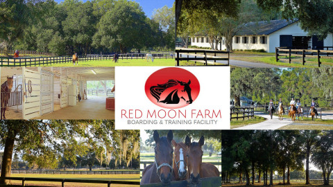 Visit Red Moon Farm