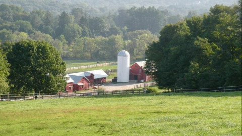 Visit RiverHorse Farm