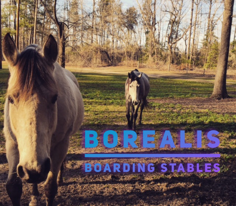 Visit Borealis Boarding Stables