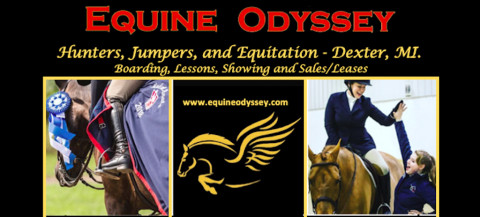 Visit Equine Odyssey, LLC - Dana Wille