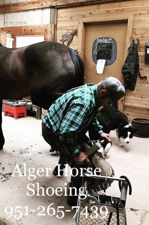 Visit Alger Horseshoeing