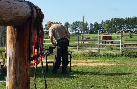 Visit Bert Gates, Gates Practical Horsemanship and Hoof Care