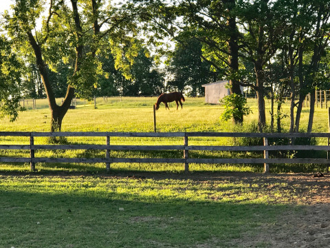 Visit A and R Ranch