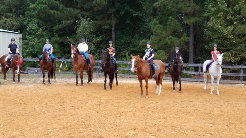Visit Gilley Equestrian Center offers Training, lessons, sales and boarding