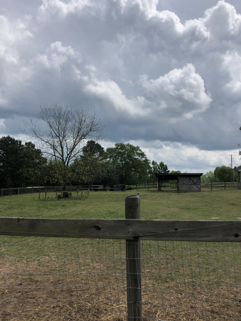 Visit Grey Star Farm