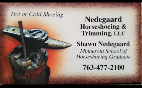 Visit Nedegaard Horseshoeing and Trimming