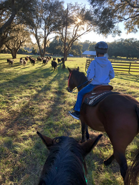 Visit Mann Ranch Horse Camp