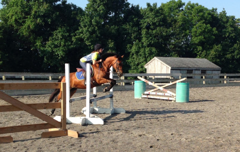 Visit Heron Mead Equestrian Center