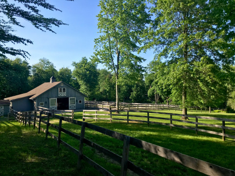 Visit Hound Hill Farm