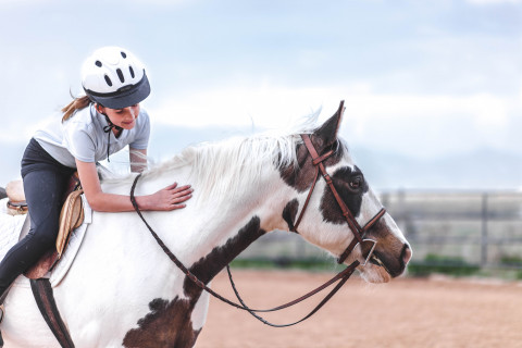 Visit Valley View Equestrian