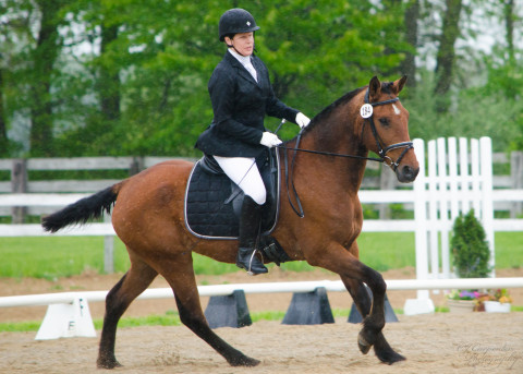 Visit Henning Stables Riding Lessons