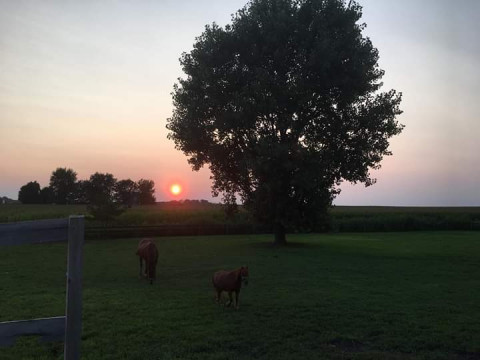 Visit Klingebeil Farm