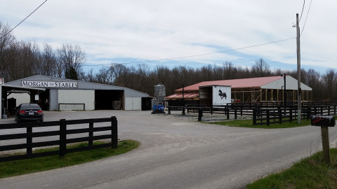 Visit Morgan Stables