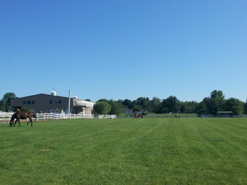 Visit Sunny Hill Farm