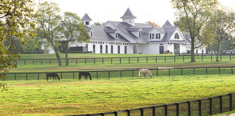 Visit Brian Lane/Georgia Horse Farms/Better Homes GA Properties