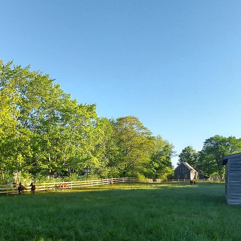 Visit Passchendaele Farm