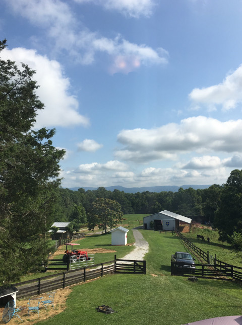 Visit Mount Airy Horse Stables