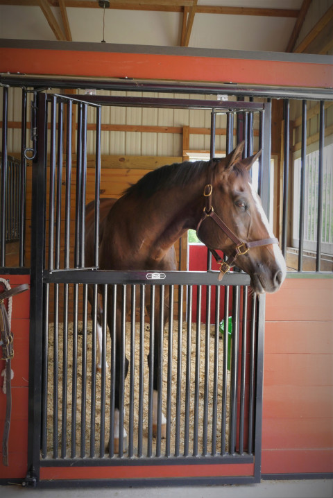 Visit The Big Red Barn