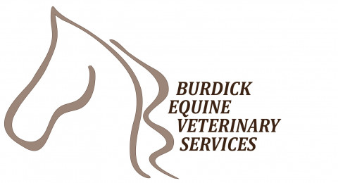 Visit Burdick Equine Veterinary Services