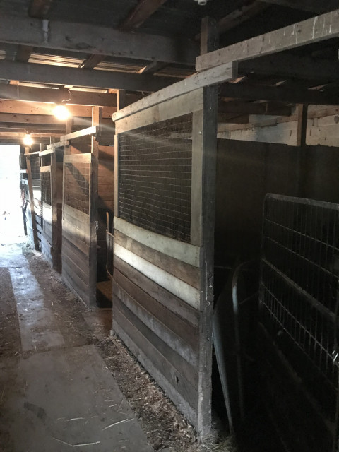 Visit Raccoon creek farm (horse boarding)