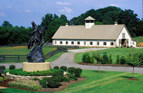 Visit Trainer at White Stables at Rarity Bay