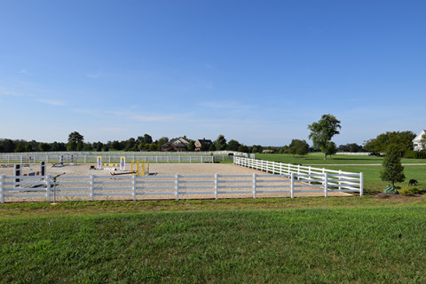 Visit Hester Equestrian