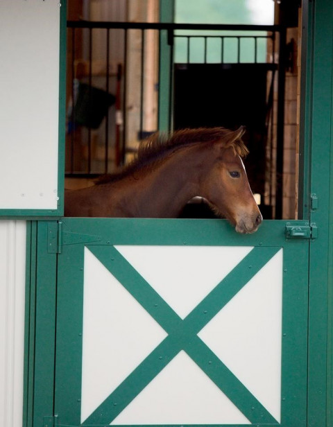 Visit Mills Farm-A Horse Motel (overnight boarding only)