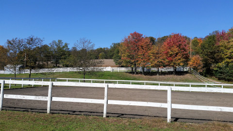 Visit Mahoning Hills Stables