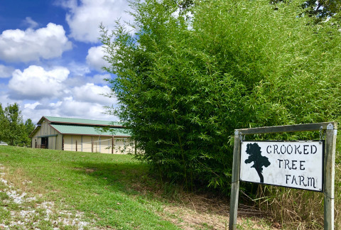 Visit Crooked Tree Farm