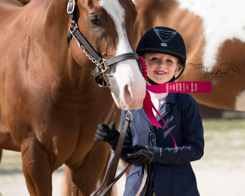 Horse Boarding in Saint Augustine, Florida (Saint Johns County)