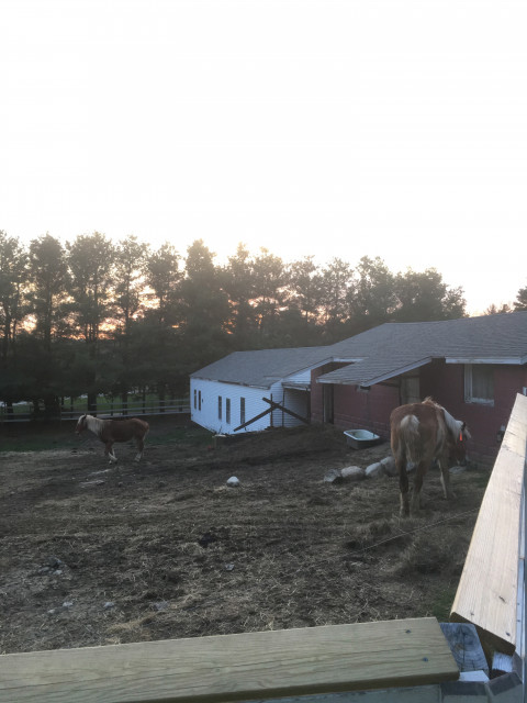 Horse Boarding In Mendon Massachusetts Worcester County