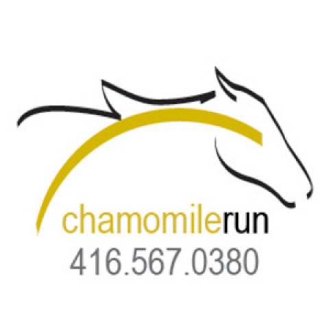 Visit Chamomile Run Equestrian