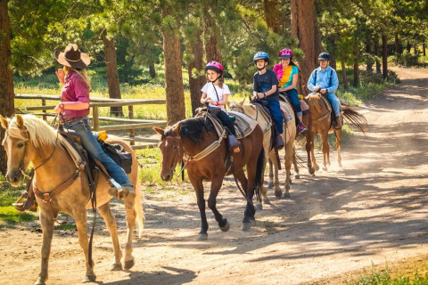 Visit The Stables at Northeast Georgia