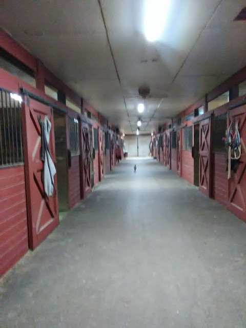 Visit SHH STABLES