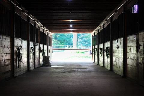 Visit Lyncrest Hill Stables