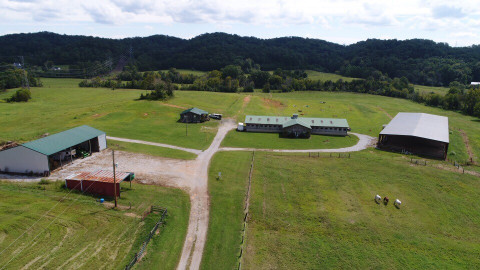 Visit Blue Point Stables, LLC ONLY ►18 Min from W. Knoxville ► Boarding+Riding Lessons