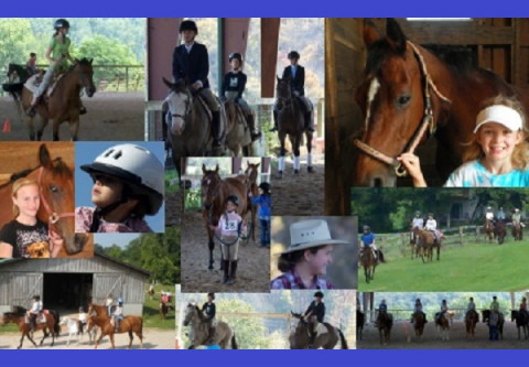 Visit Blue Point Stables, LLC ONLY ►18 Min from W. Knoxville ► Riding Camps