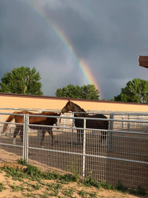 Visit Creekside Equestrian