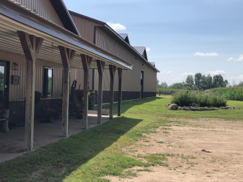 Visit Novak Equine Center