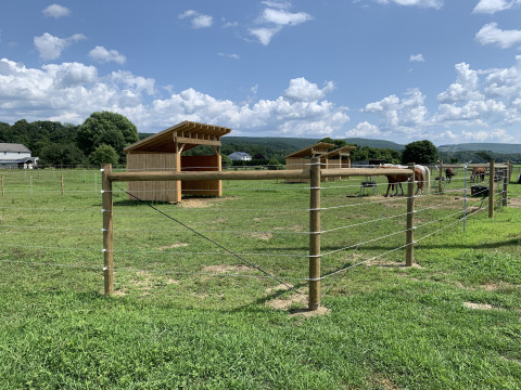 Visit The Whitney Farm