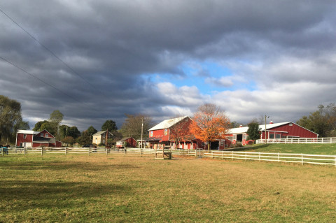 Visit Schocharie Ridge Farm