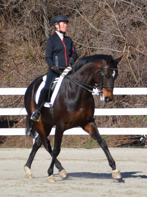 Visit Sandy Kantor trainer at Schocharie Ridge Farm