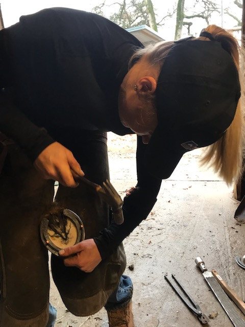 Visit Olivia Swift Horseshoeing