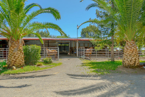 Visit Baker Ranch
