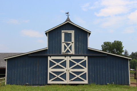 Visit Blue Barn Farm