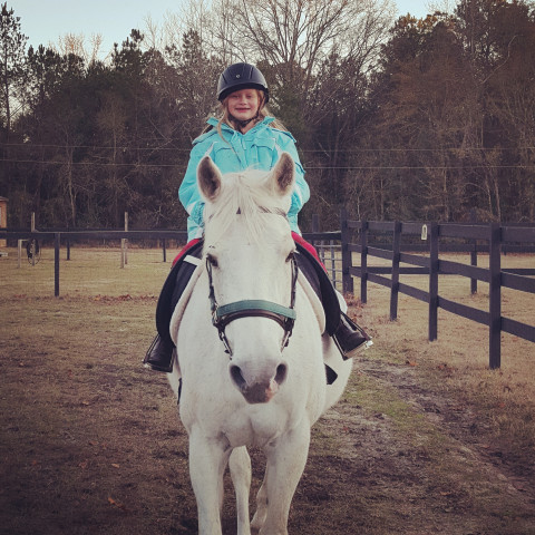 Visit Joyful Noise Riding Academy LLC