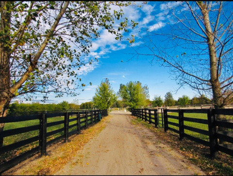 Visit Golden Oak Equestrian