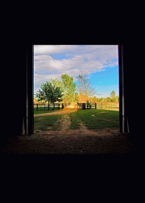 Visit Golden Oak Equestrian Center